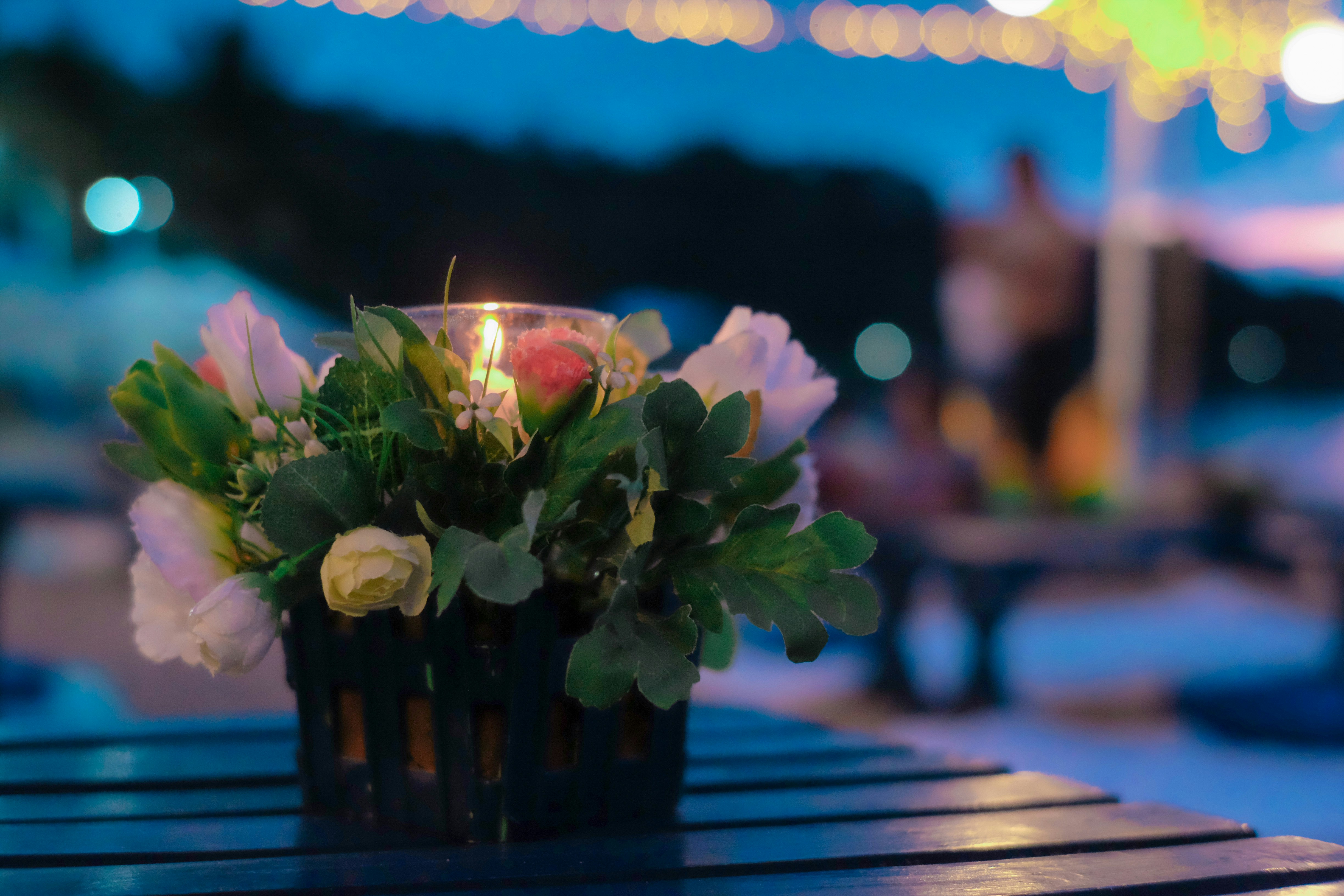 Photo by skullmonkey