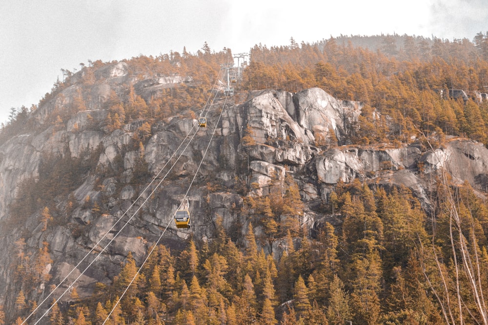 cable cars on rocky mountain during daytime