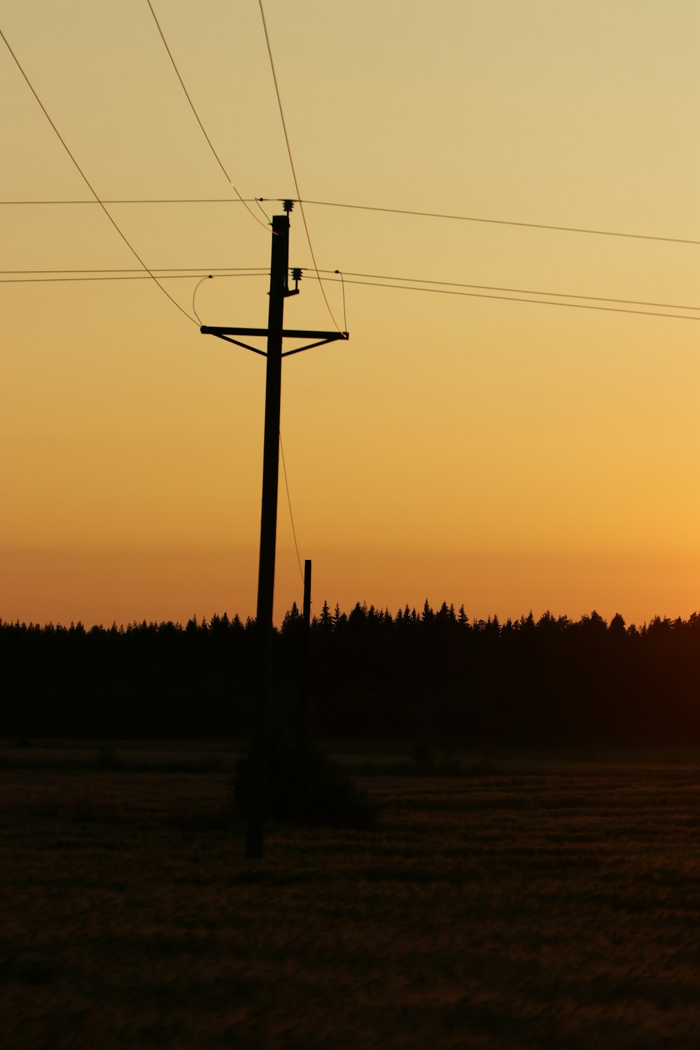 silhouette of electric post during sunset