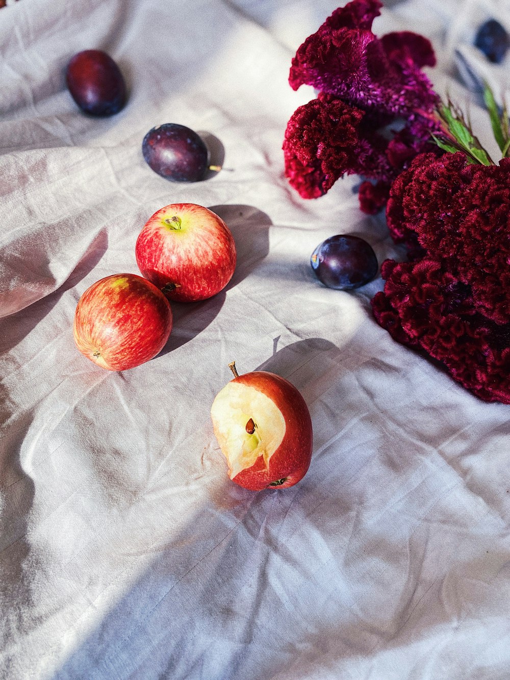 frutti rossi su tessuto bianco