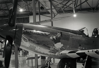 A vintage fighter aircraft is displayed in a museum setting. The aircraft's fuselage features a cartoon character wearing a flight helmet and goggles. The polished metal surface of the aircraft, along with its propeller and cockpit, are visible under the hangar lights.