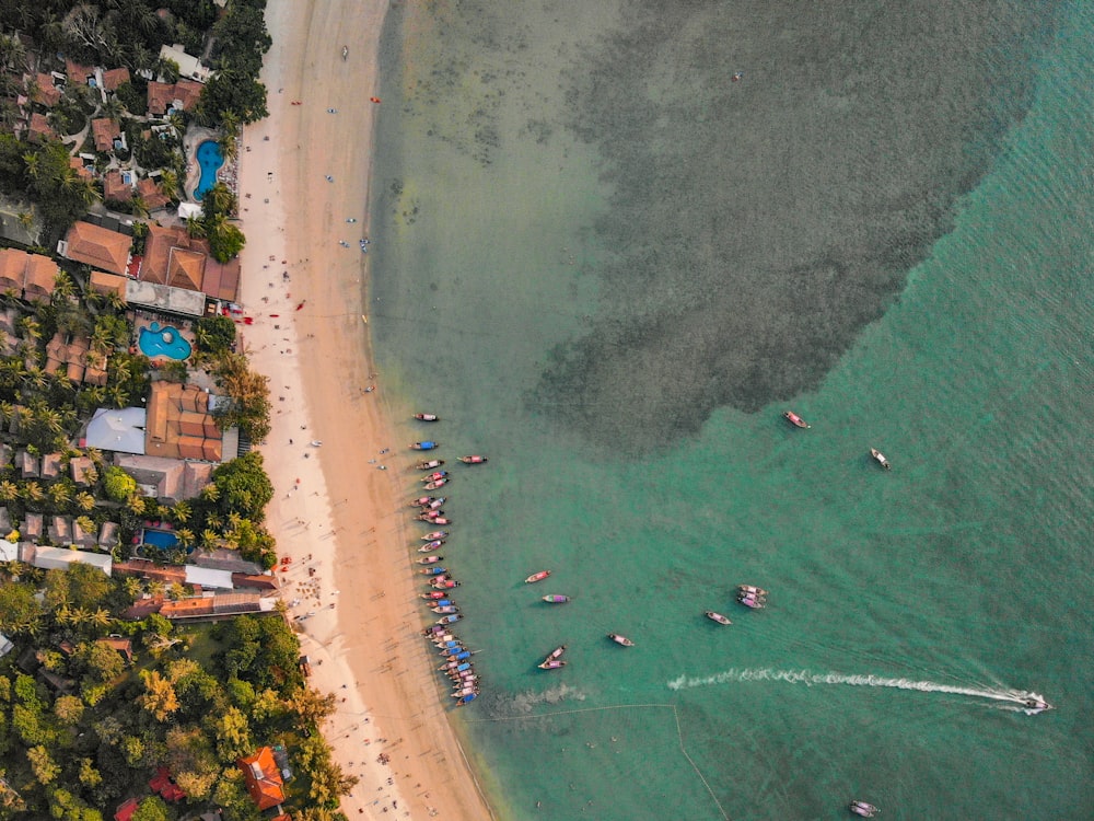 aerial view of people on beach during daytime