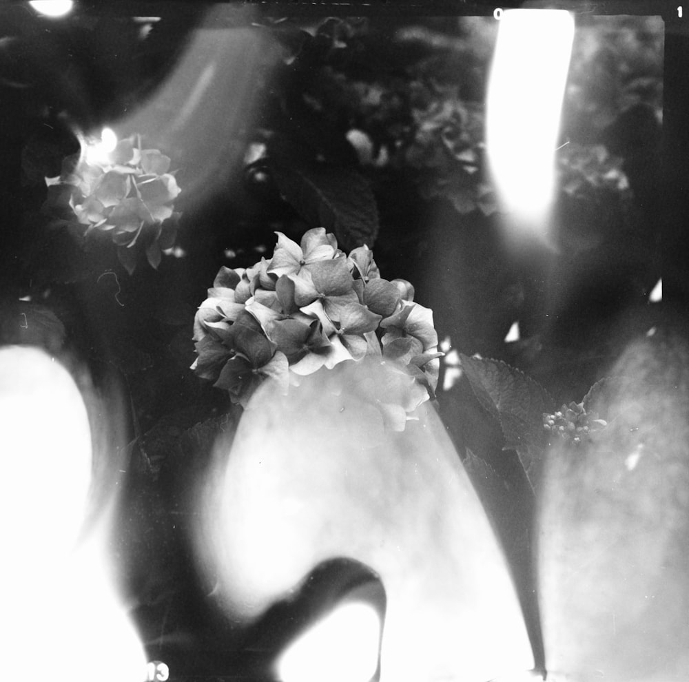 greyscale photo of flower bouquet