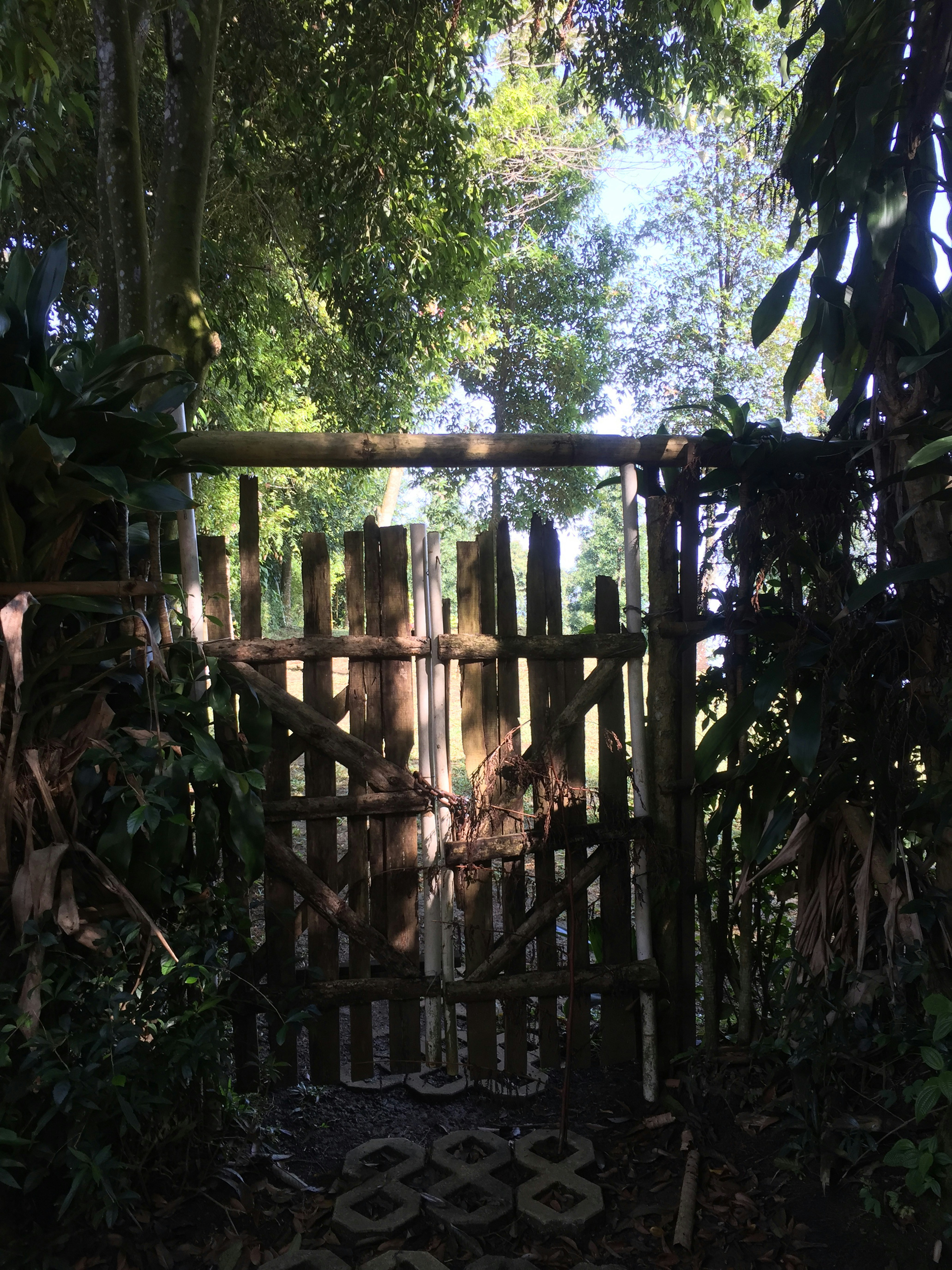 Dino Decking Gate