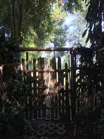 A sturdy wooden entry gate with a natural finish surrounded by lush greenery.