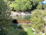 A natural outdoor scene features a pond surrounded by dense green foliage with people lounging and swimming. Stone walls with wooden railing enclose the water, which is calm and reflects the greenery around. A small grassy area is visible in the foreground with water appearing to flow over a barrier.