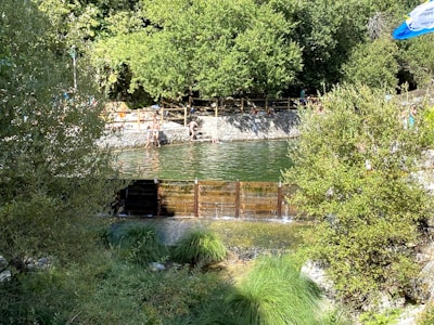 A natural outdoor scene features a pond surrounded by dense green foliage with people lounging and swimming. Stone walls with wooden railing enclose the water, which is calm and reflects the greenery around. A small grassy area is visible in the foreground with water appearing to flow over a barrier.