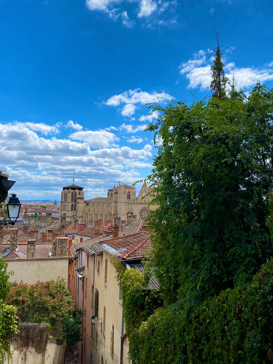Vue panoramique de Lyon avec la Basilique de Fourvière — création site internet Lyon