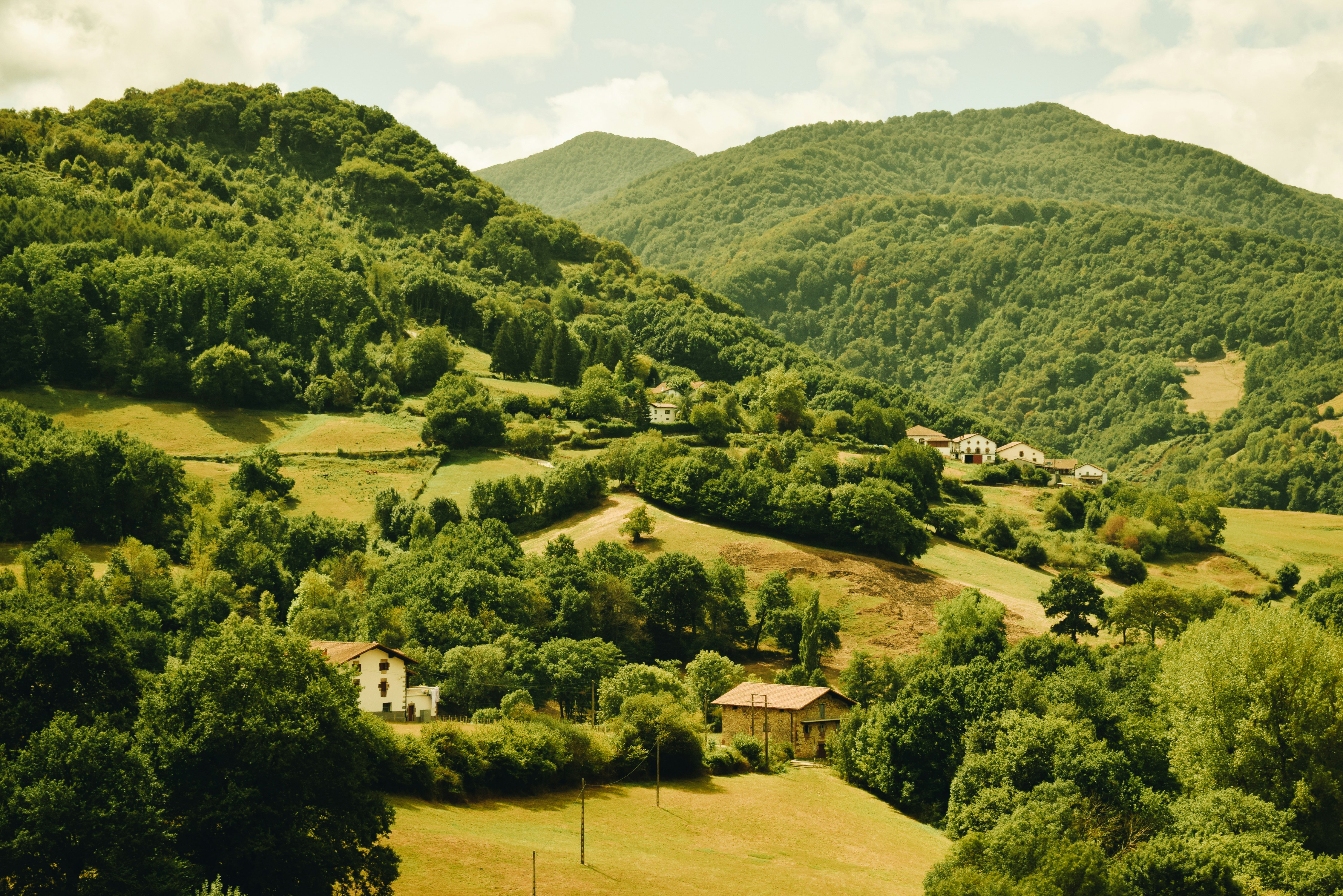 green trees on green grass field near mountain during daytime