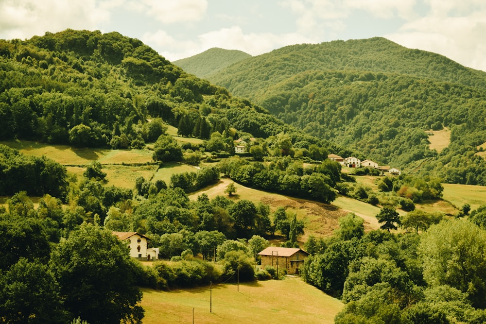 arbres verts sur un champ d’herbe verte près de la montagne pendant la journée