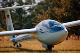 A sleek, white glider resting on a grassy field, with a shiny, glass cockpit and long, slender wings. The reflection of the sky is visible on the cockpit, and a small German flag is painted on the tail fin. The surrounding foliage indicates an autumn setting with vibrant colors.