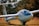 A sleek, white glider resting on a grassy field, with a shiny, glass cockpit and long, slender wings. The reflection of the sky is visible on the cockpit, and a small German flag is painted on the tail fin. The surrounding foliage indicates an autumn setting with vibrant colors.