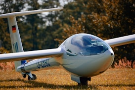 A sleek, white glider resting on a grassy field, with a shiny, glass cockpit and long, slender wings. The reflection of the sky is visible on the cockpit, and a small German flag is painted on the tail fin. The surrounding foliage indicates an autumn setting with vibrant colors.