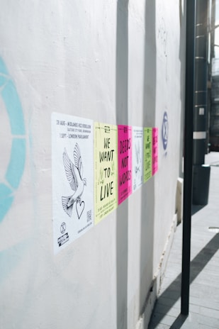 A series of colorful protest posters are affixed to a white wall, each carrying messages like 'We Want to Live' and 'Deeds Not Words'. The posters are aligned horizontally and appear in colors such as yellow, pink, and green. A drawing of a dove with a heart is visible on one of the posters on the left side.