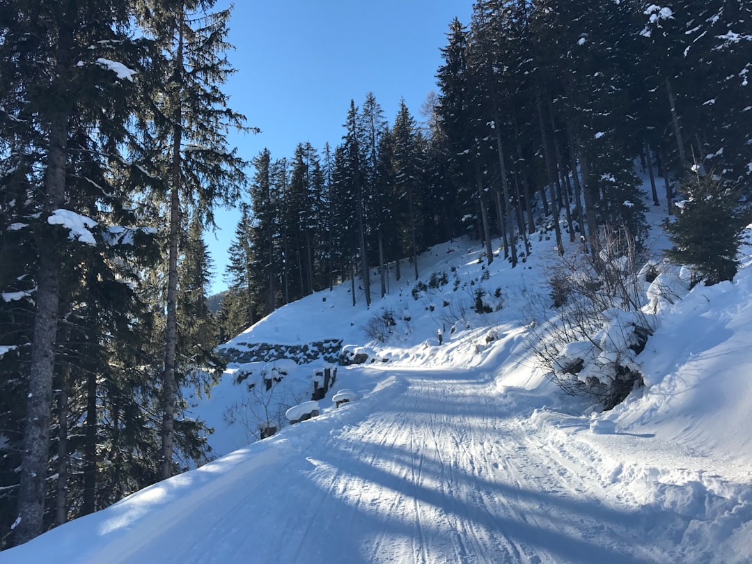 Mountain photo spot Schatzalp Euthal