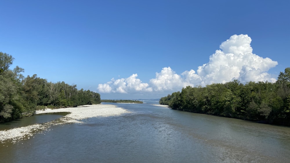 green trees near body of water under blue sky during daytime