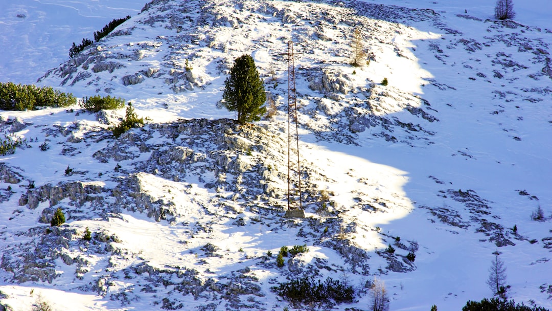 green trees on snow covered mountain during daytime