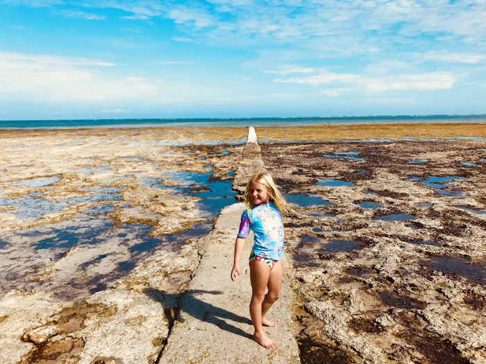Diani Beach Coast photo 3