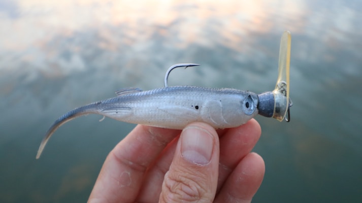 A hand is holding a fishing lure designed to resemble a small fish. The lure has a metallic hook on its back and features a realistic fish design with a clear plastic lip at the front. The background is slightly blurred, showing a body of water in subdued colors.