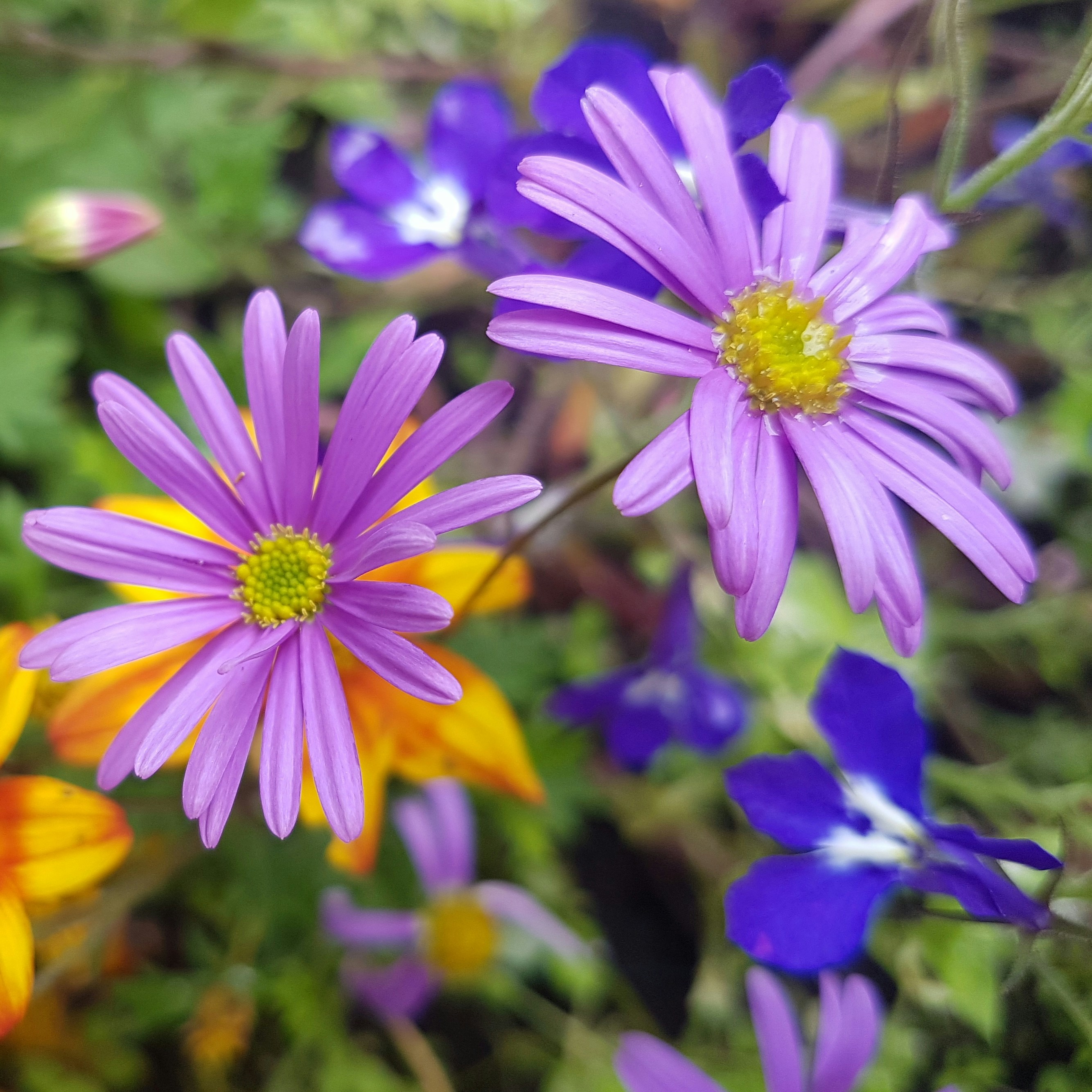 Photo by ramonacosta