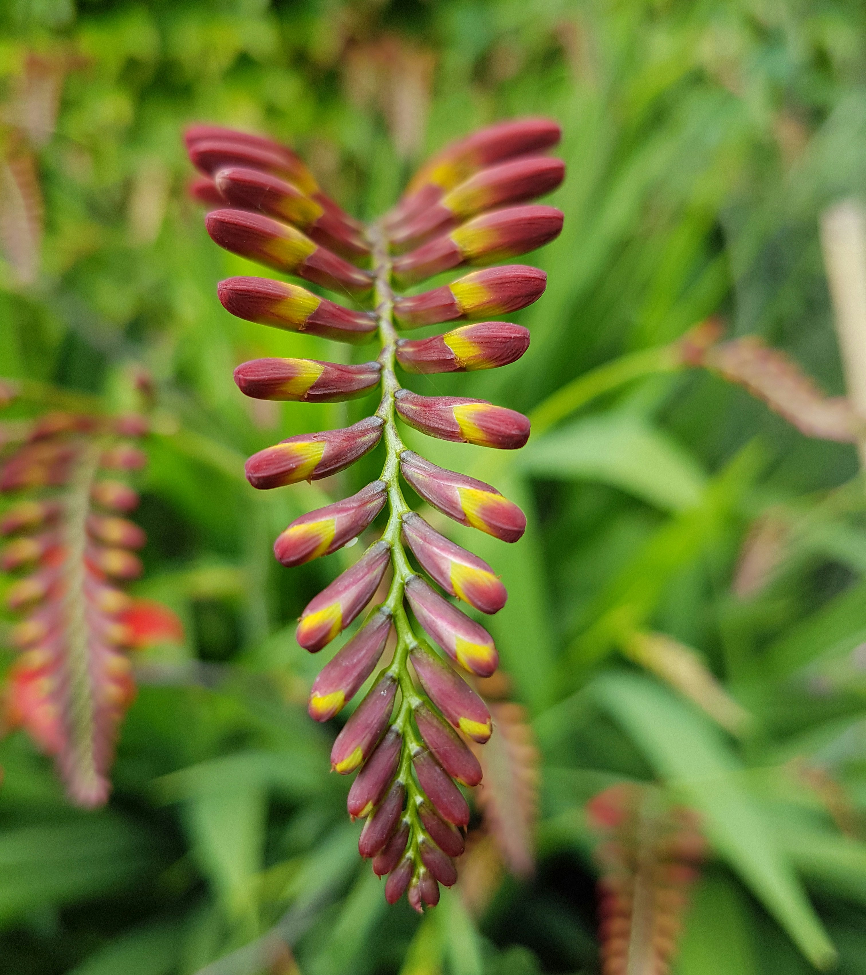 Photo by ramonacosta