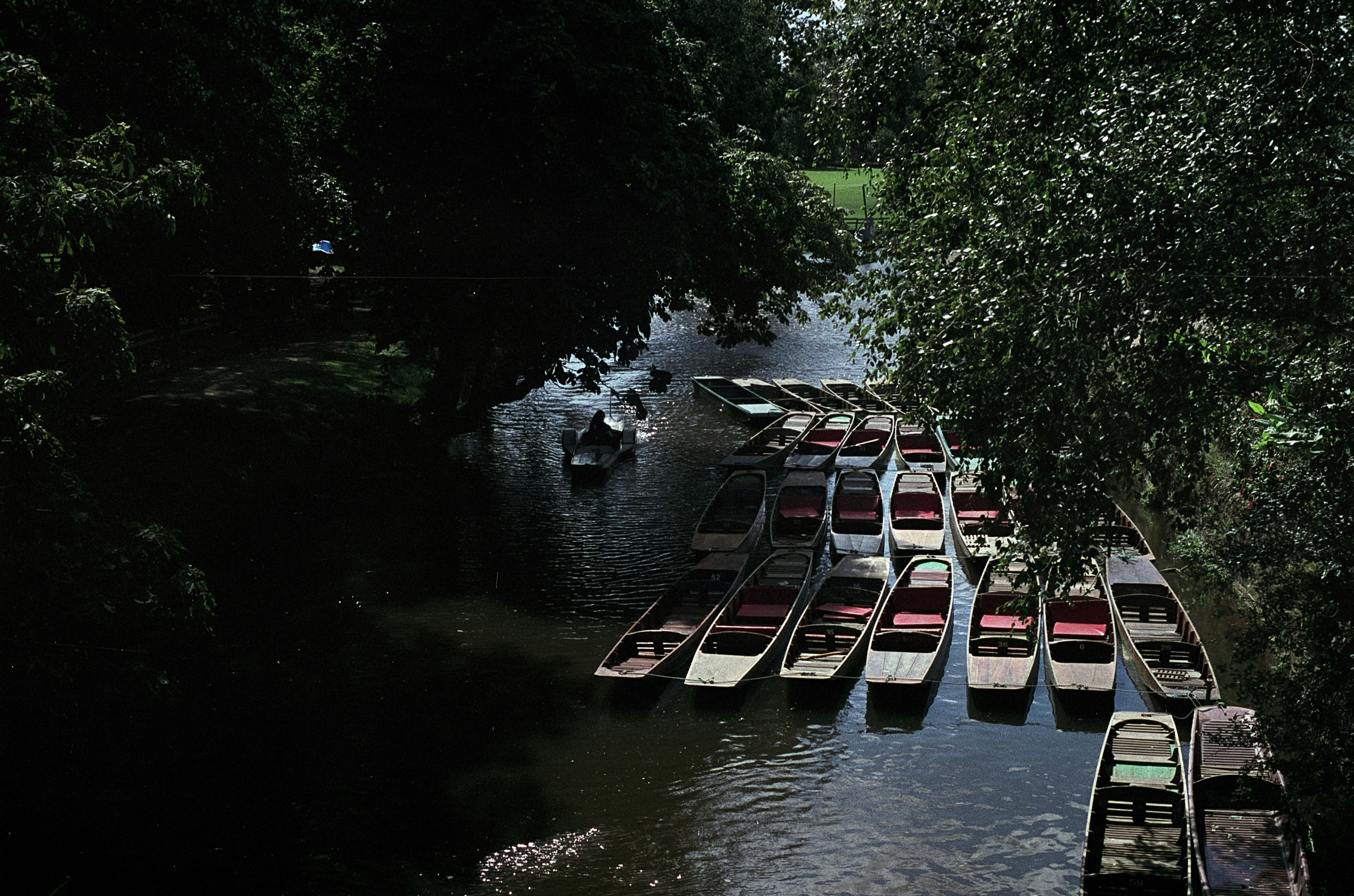 Punting on the River Cherwell photo 3