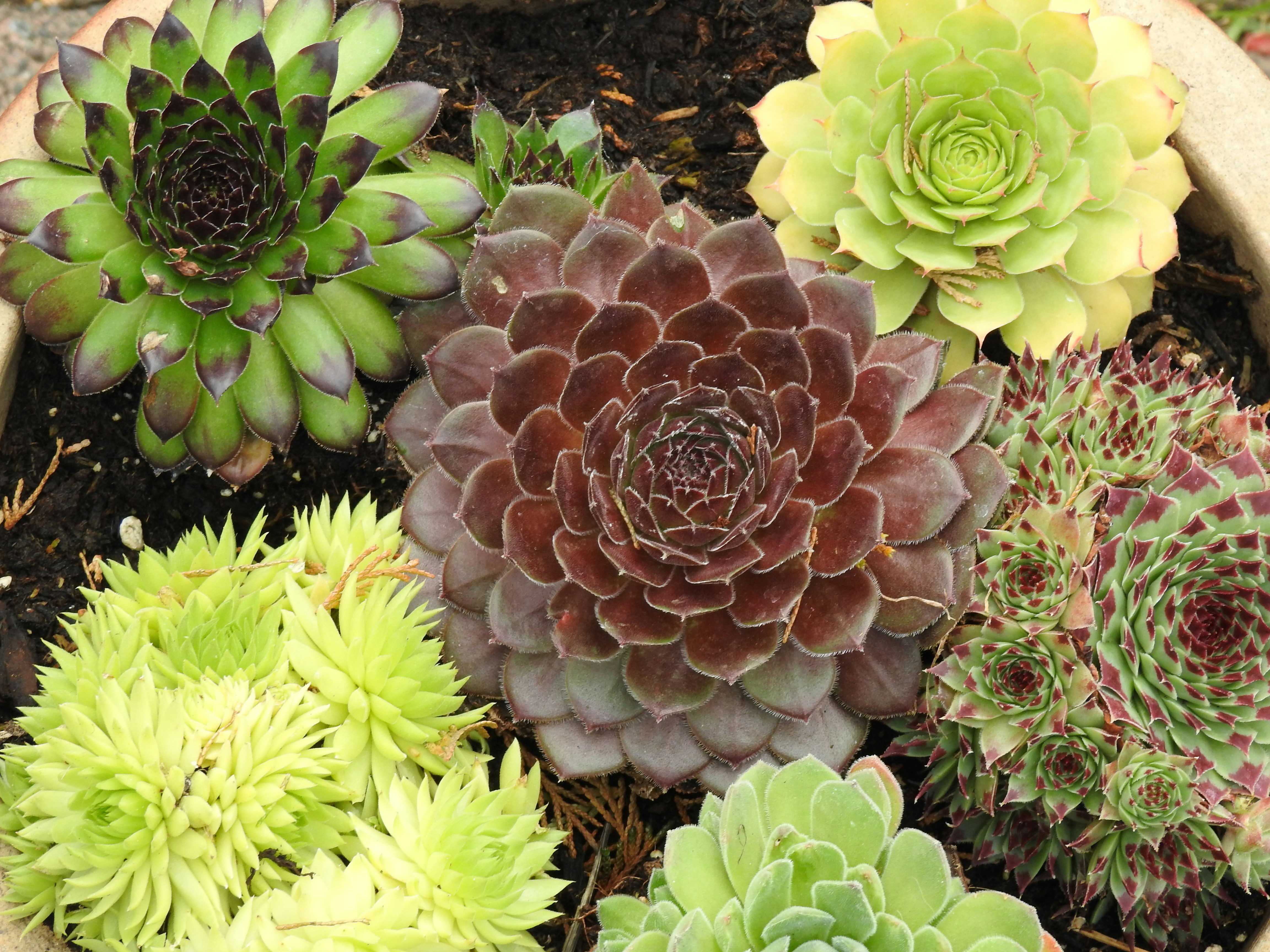 Photo by vijaychadha