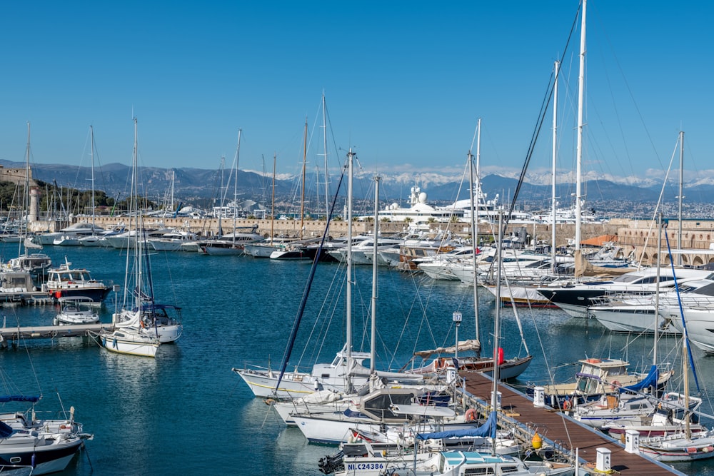 white sail boats on sea during daytime