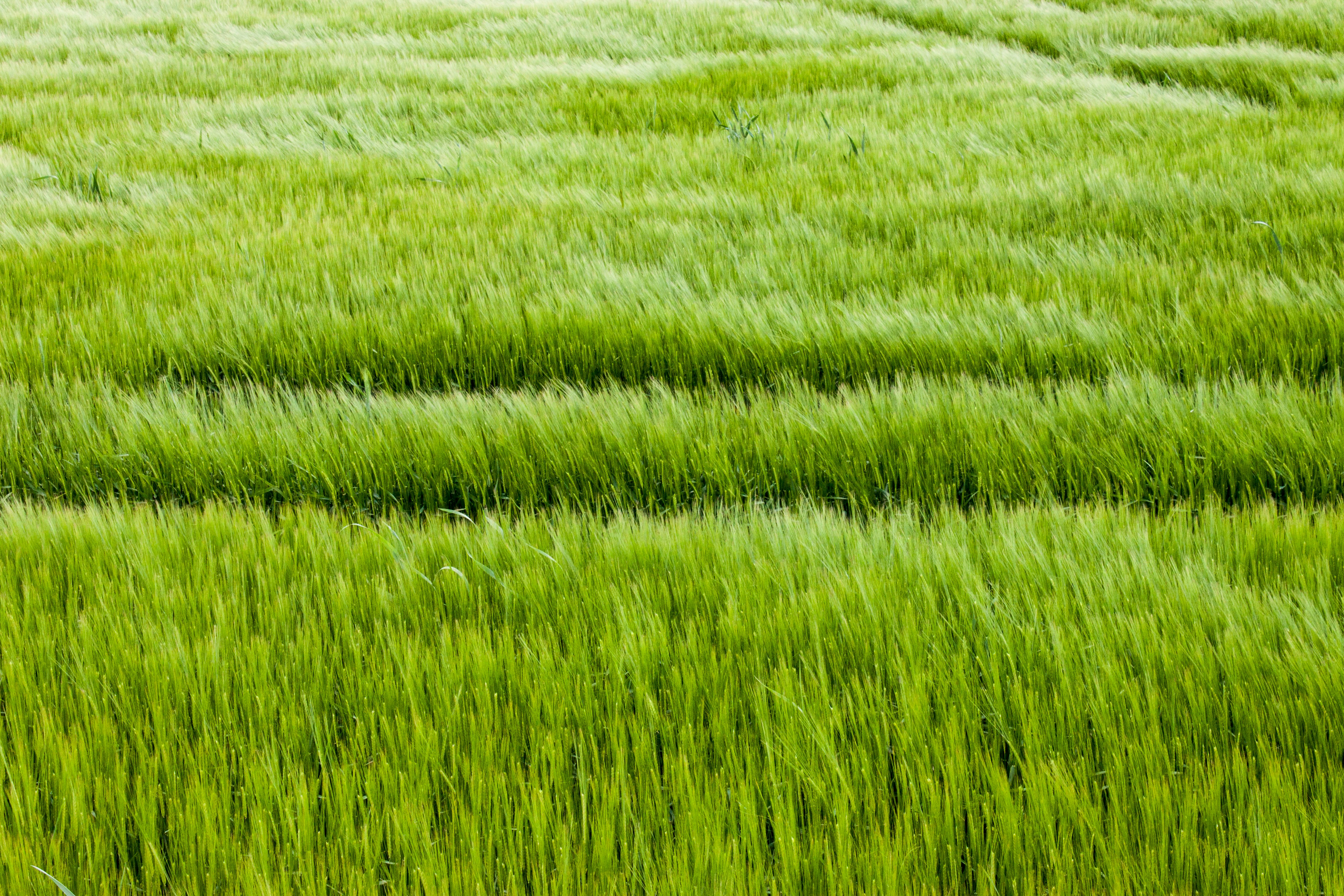 Photo by alexanderloewe