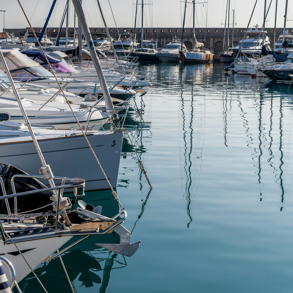 white and blue boat on body of water during daytime