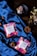 Two colorful tea packages labeled 'TEACORA' are placed on a luxurious blue satin fabric. Nearby, there are two pine cones and a tea bag in a black dish. The scene is set on a dark wooden surface, creating a contrast with the vibrant colors of the products.