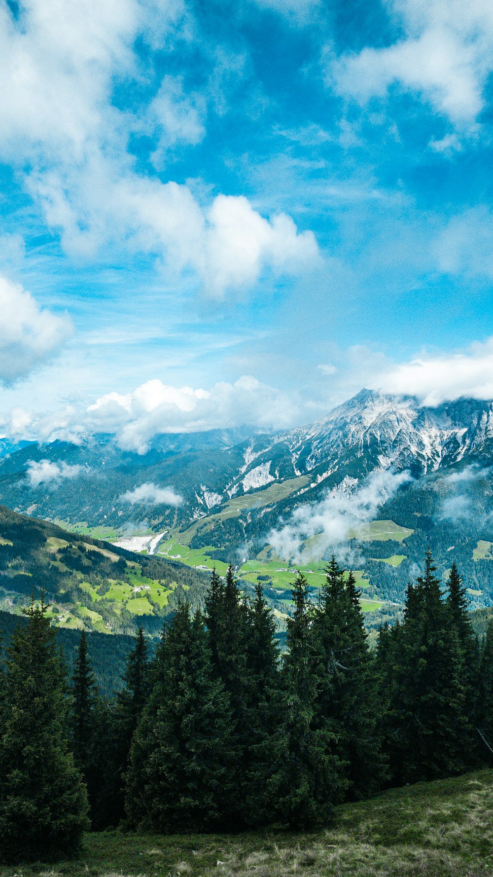 Grüne Bäume am Berg unter blauem Himmel tagsüber