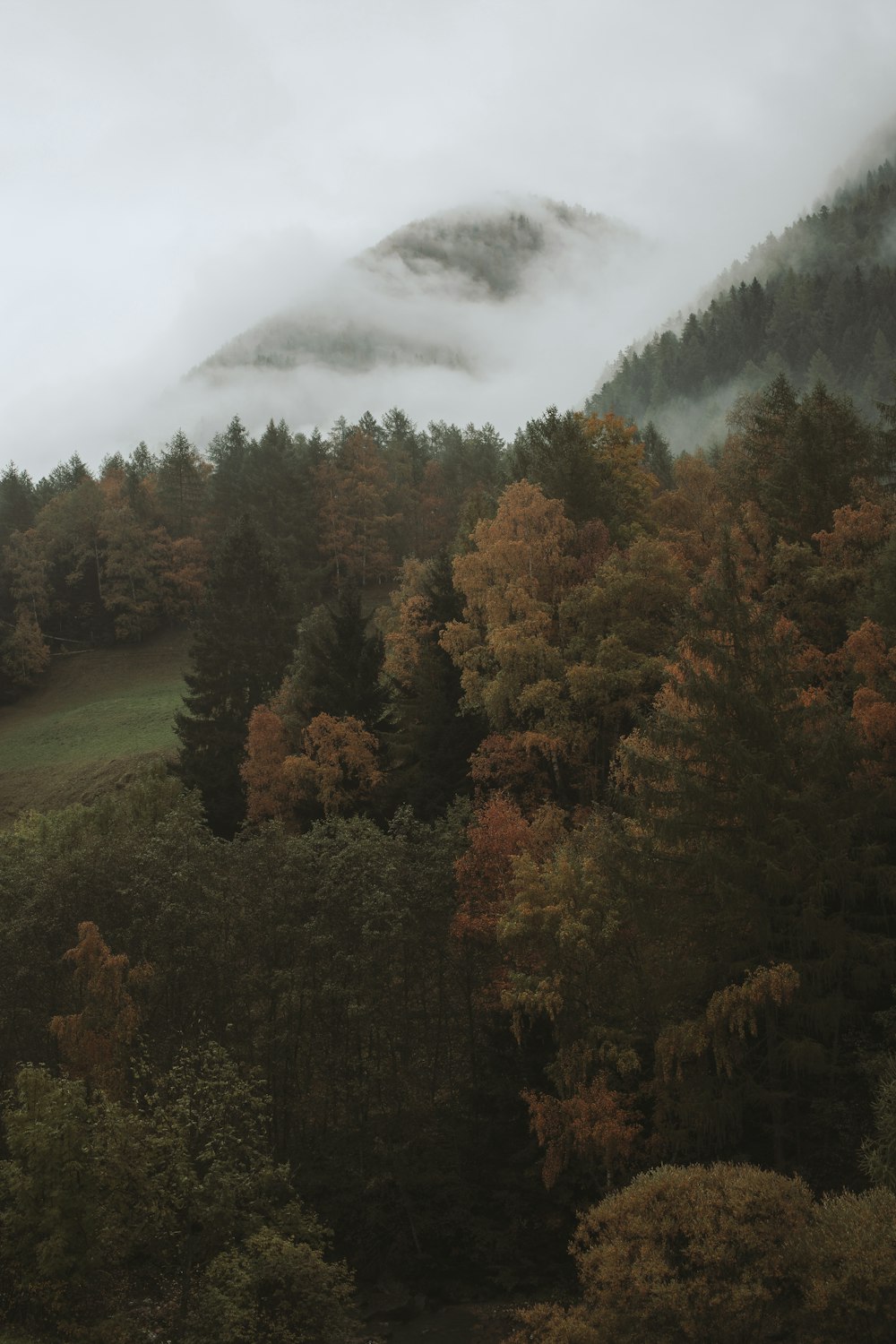 green and brown trees near mountain under white clouds during daytime