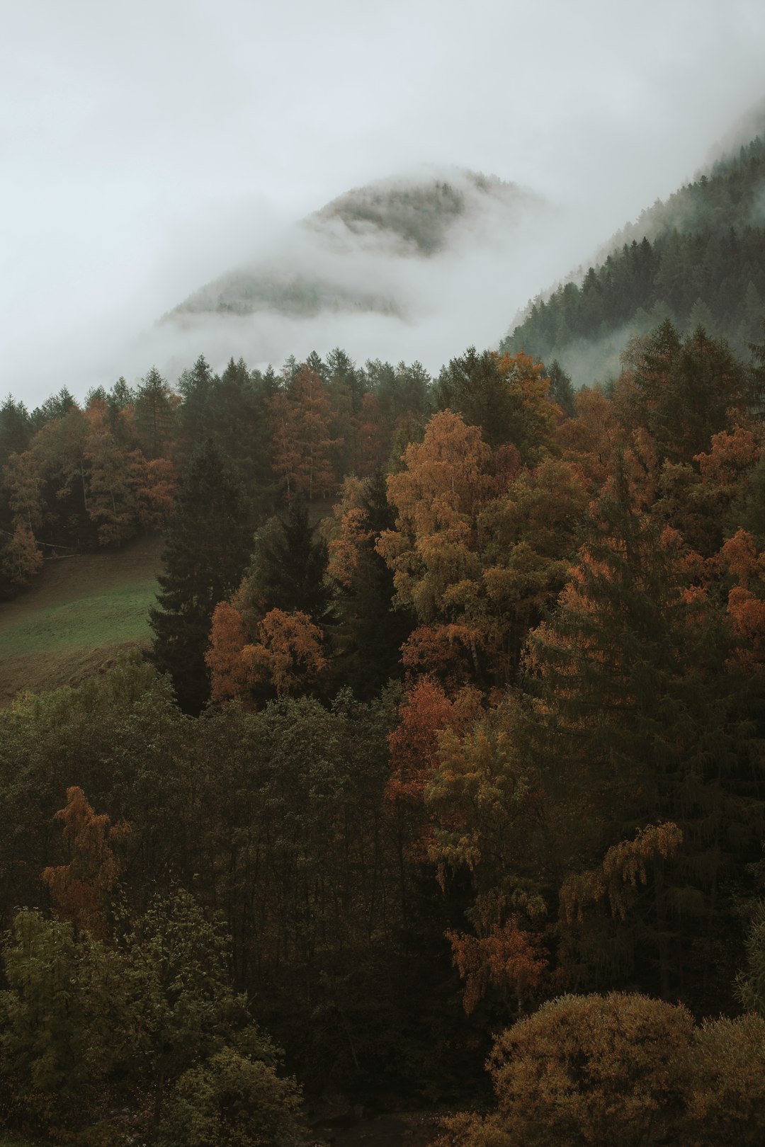 green and brown trees near mountain under white clouds during daytime