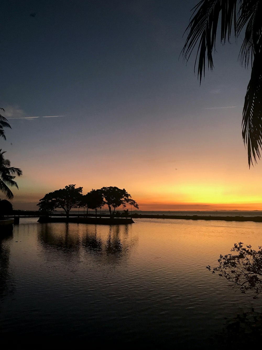 silhouette of trees near body of water during sunset