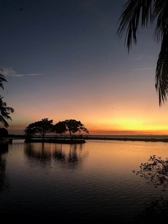 silhouette of trees near body of water during sunset in Bacolod City Philippines