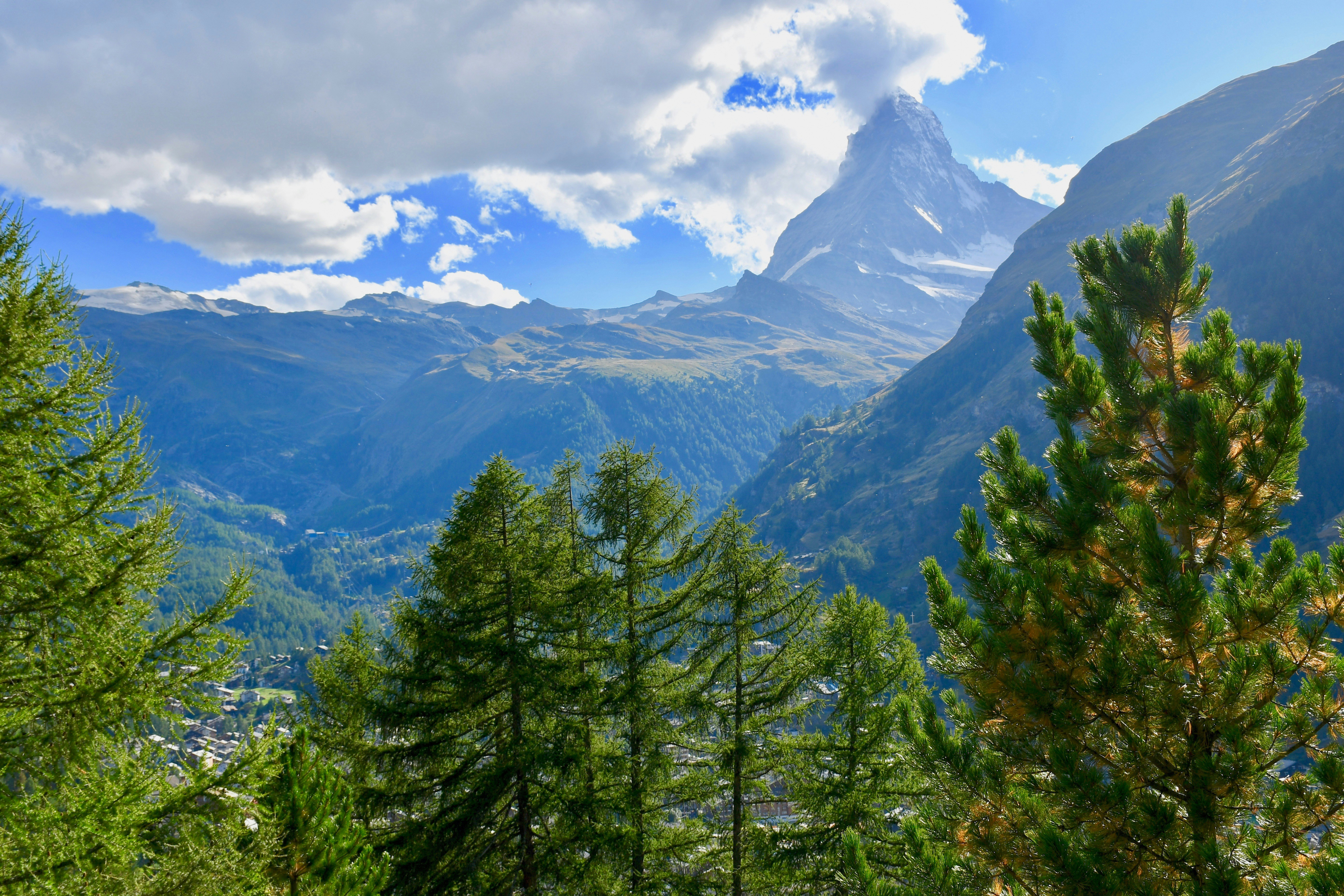 Sweet & Savory Delights