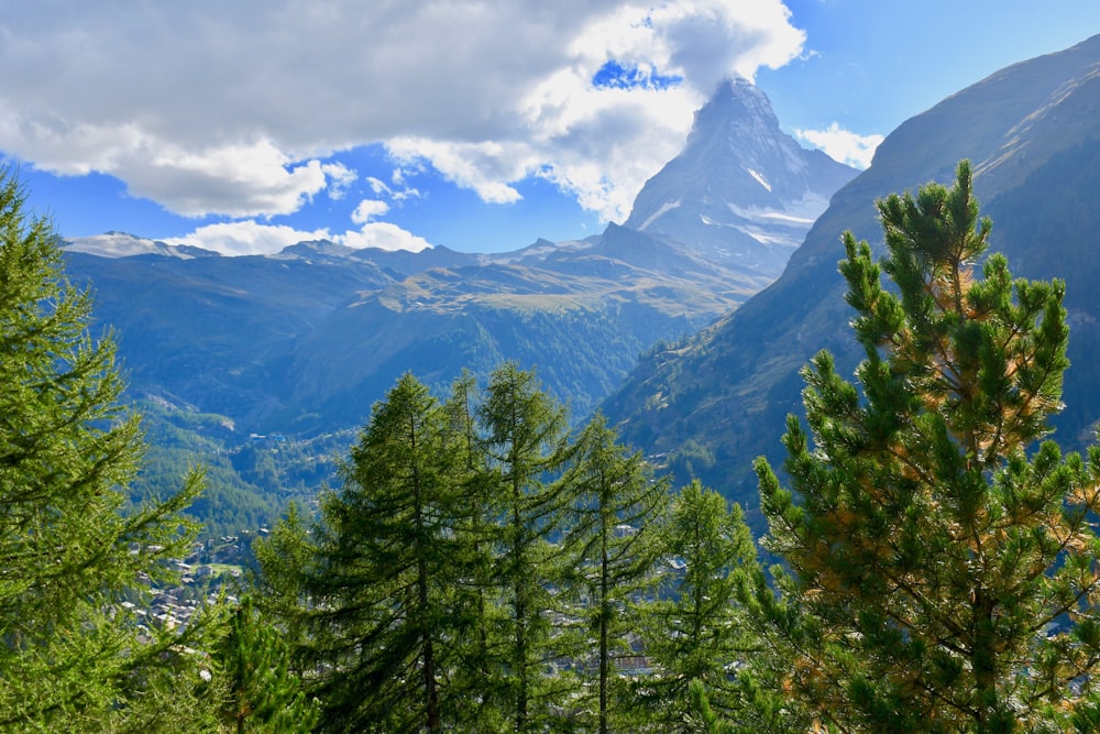 green pine trees near mountain under white clouds and blue sky during daytime