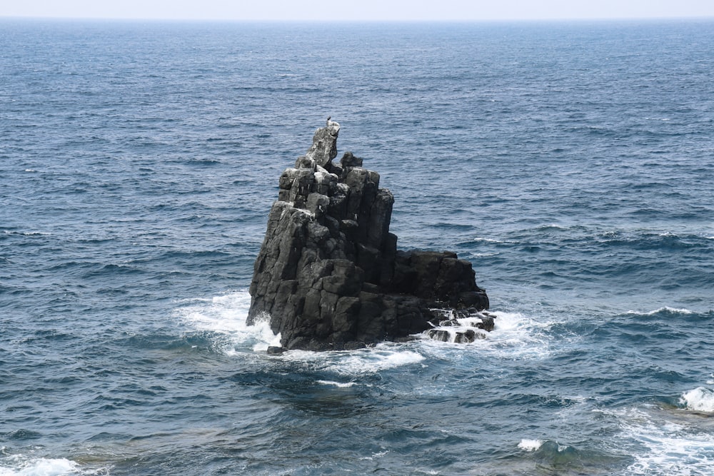 昼間の水域の灰色の岩層