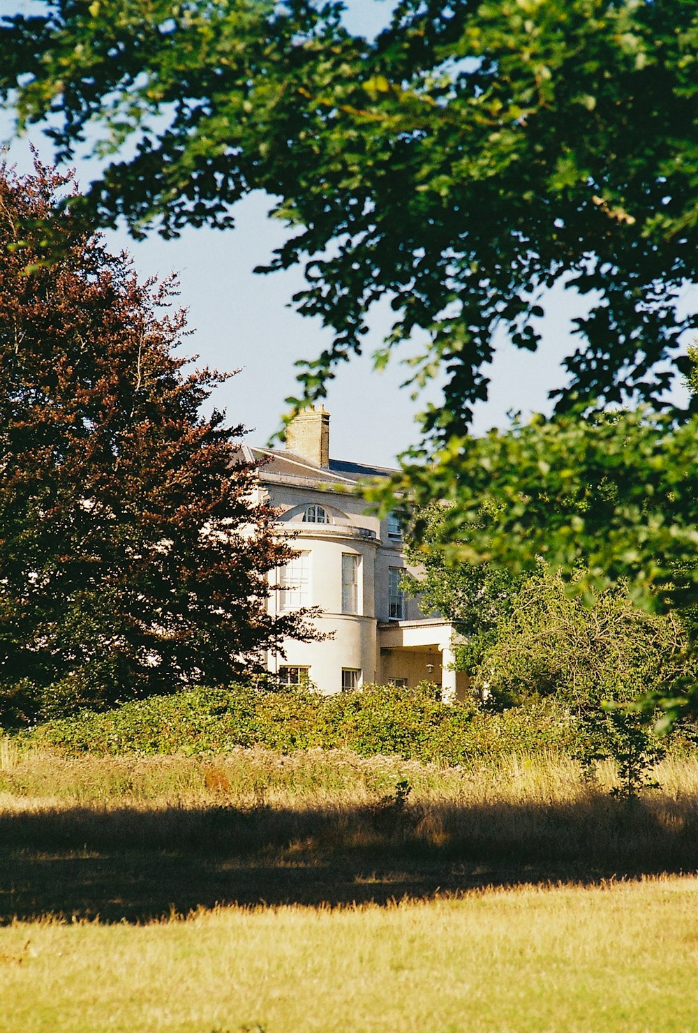 green grass field with green trees and white house in distance