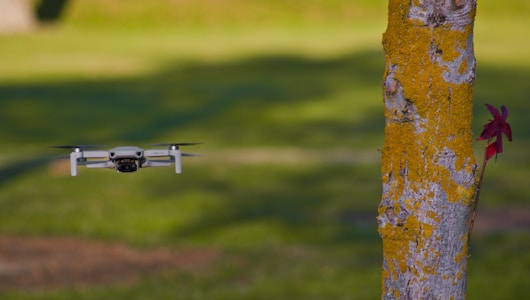 A drone is flying mid-air near a tree with yellow moss on its trunk. The background consists of a grassy field and blurred natural surroundings.