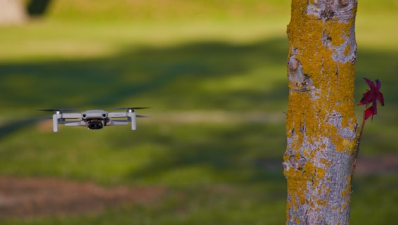 A drone is flying mid-air near a tree with yellow moss on its trunk. The background consists of a grassy field and blurred natural surroundings.