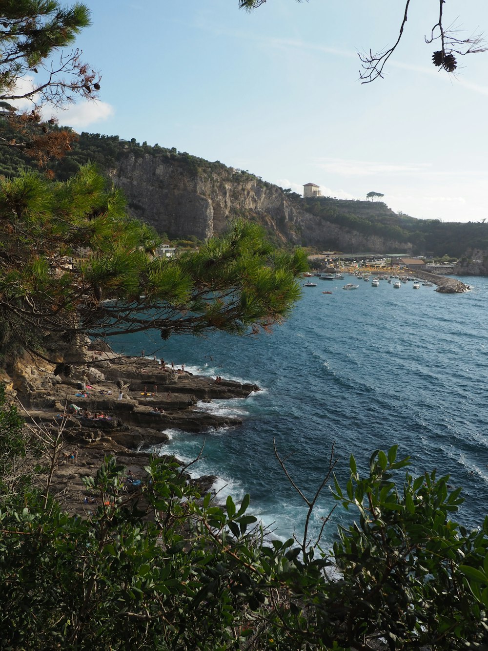 green grass on rocky mountain beside sea during daytime