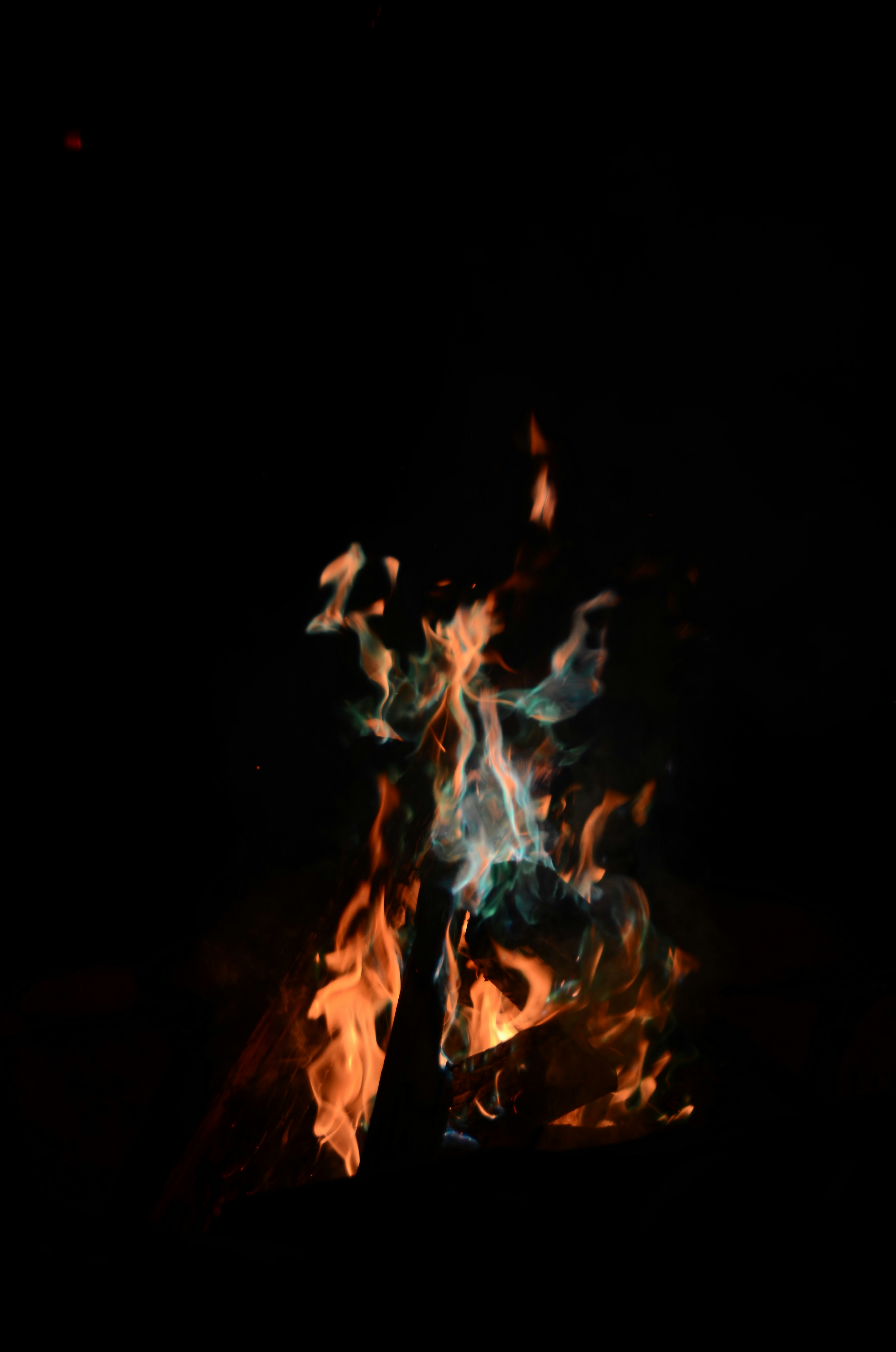 Photo by brideckahughes