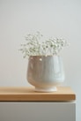 A sleek, modern vase with a smooth matte finish sitting on a wooden shelf against a soft neutral wall.