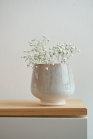 A simple ceramic vase with a glossy finish holds delicate white flowers, possibly baby's breath, resting on a light wooden shelf against a softly lit neutral background. The flowers’ stems spread out gracefully, adding to the minimalist aesthetic.