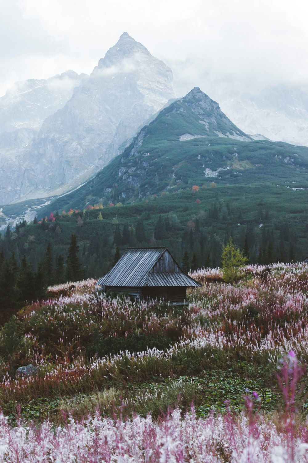 casa di legno marrone sul campo di erba verde vicino alla montagna durante il giorno