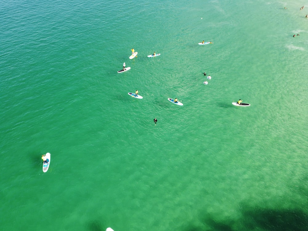 aerial view of people riding on boat on sea during daytime