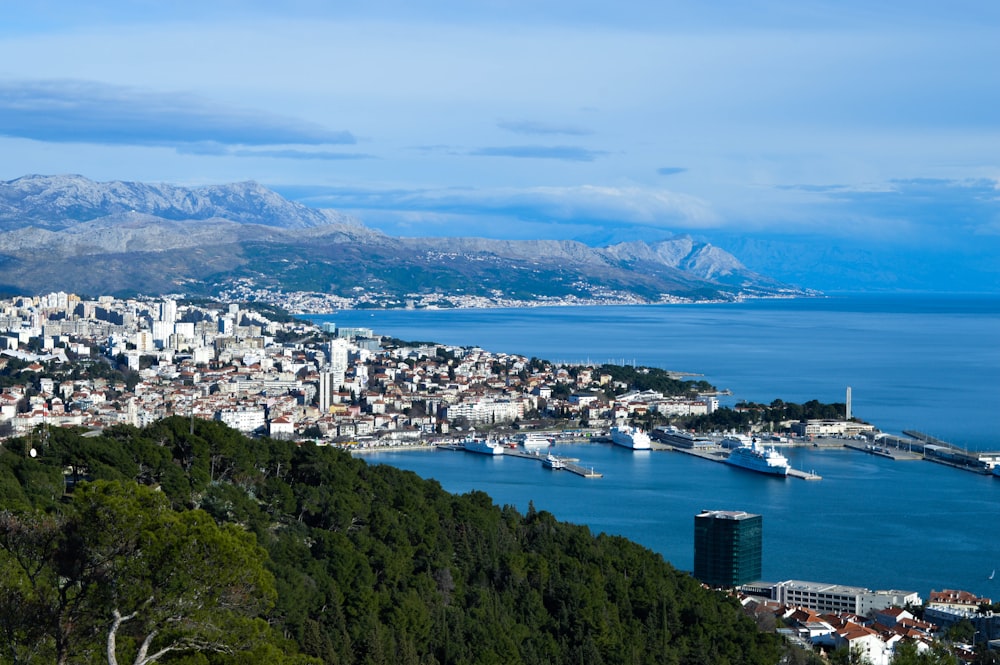 aerial view of city buildings near body of water during daytime