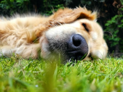 Momenti di relax